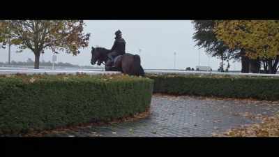 From a jockey's point of
view it is important he went - Horsepower