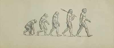 ... from a long, long process. - Is Genesis History?