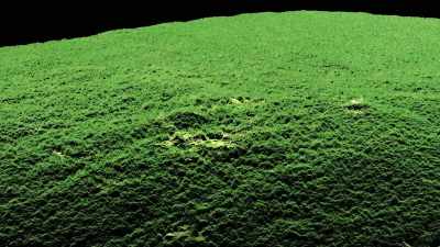From above you can see
nothing but trees, - Lost Treasures of the Maya
