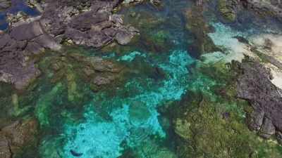 From above,
the drone is revealing - Blue Planet II