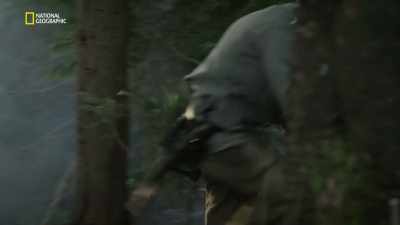 ...from bulldozers to explosives - Hitler's Last Stand