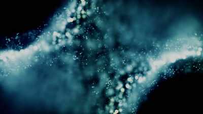 From consciousness,
your intent can modify future probability. - Superhuman: The Invisible Made Visible