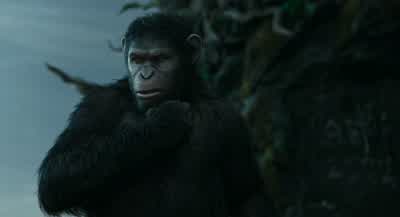 From humans Koba learned hate - Dawn of the Planet of the Apes