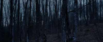 From me they come
and to me they go. - Pyewacket