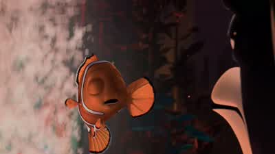 From this moment on you will be known as SharkbaitSharkbait oo ha haWelcome Brother SharkbaitSharkbait oo ha haEnough with the Sharkbait Sharkbait - Finding Nemo