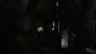 From this night
forth, we shall be as one. - Bloodlust: Subspecies III