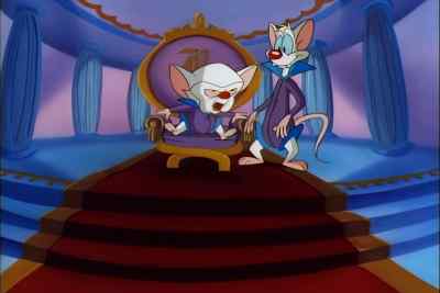 FROM NOW ON, PINKY, - Pinky and the Brain