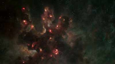 From our fleeting human perspective,
stars seem eternal... - Universe