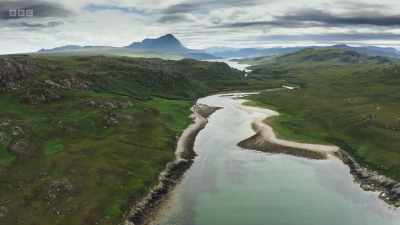 From this point on,
they are freshwater fish. - Wild Isles