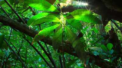 From small beginnings, giants emerge. - Tiny World