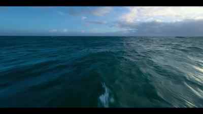 From South Georgia, - Our Oceans