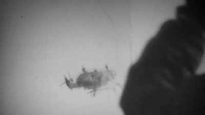 From the air, - Chernobyl: The Invisible Enemy