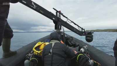 From the boat,
the stabilised camera rig - Wild Isles