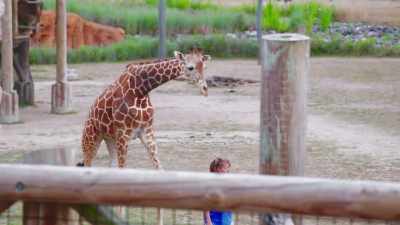 From the day he got here - Secrets of the Zoo