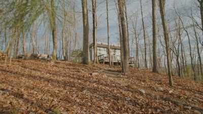 From the fire pit down around,
we've built some paths. - The Cabin Chronicles
