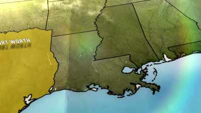From the Lone Star State
to the Sunshine State... - United States of Animals