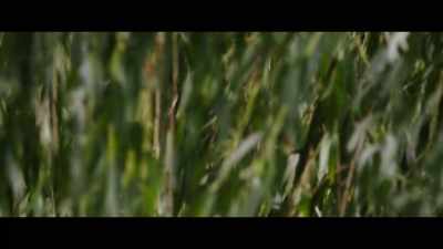 From the moment Nicola's
thoughts began to be - London Fields