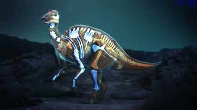 FROM THE NECK
DOWN THROUGH THE LIMBS. - Dino Hunters