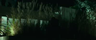 From the swamp he will come - John Wick