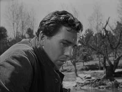 From the time we are knee-high... - The Song of Bernadette