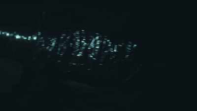  From the tracks
 through the attic, - Phrogging: Hider in My House