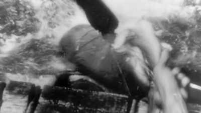 From there on out,
the shark encounters
pick up steam, - Tales From The Explorers Club