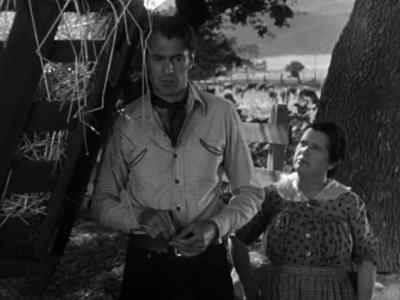 From what you tell me,
I'm sure she wouldn't disappoint you, - The Cowboy and the Lady