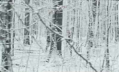 - From whom?
- I told you! People! - Winter Brothers