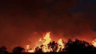From wildfires in California and Australia, - Ancient Engineering