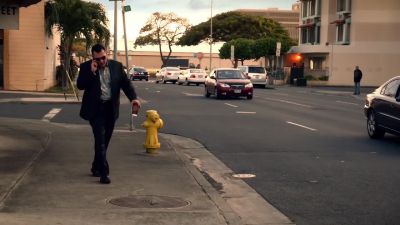 Fryer. - Hawaii Five-0