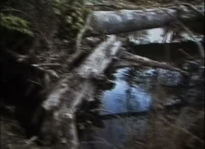 -Fuck! -It's the same log. -Fuck! -Fuck! - The Blair Witch Project