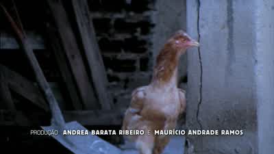 Fuck, the chicken's got away! - City of God