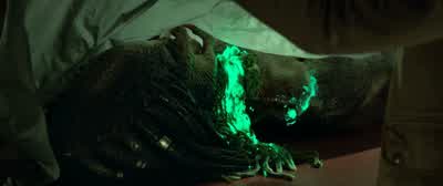 - Fucked that nigga up. - The Predator