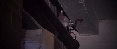 Fucking birds - Session 9