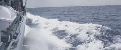 Full steam ahead,
that thing is coming back, - Megalodon Rising