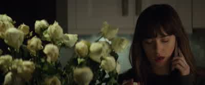 Fundamental differences, I guess. - Fifty Shades Darker