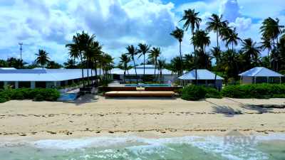 ♪ (funky tropical music) ♪ - Island of Bryan