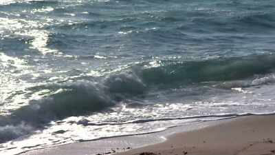 ♪ (funky upbeat music) ♪ - Island of Bryan