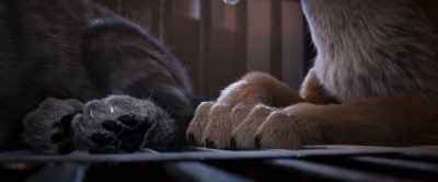 Funny, we've lived in the
same house for so long, - Gracie & Pedro: Pets to the Rescue