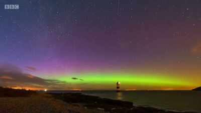 Further north, on Anglesey, - Wales: Land of the Wild