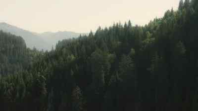 Further north, - Prehistoric Planet