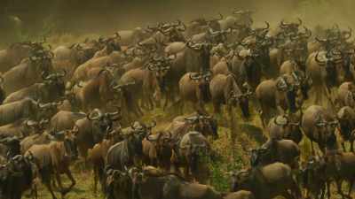 Further up the river, - Serengeti