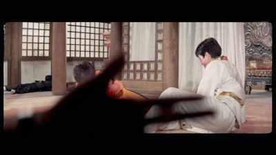 'Furthermore, while Ji's hapkido skills
are beyond reproach, - The Final Game of Death