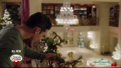 Fuses are all working,
the bulbs are all fine. - Christmas at the Plaza