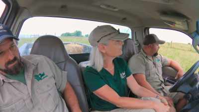 Future generations will
be able to see giraffe - Secrets of the Zoo