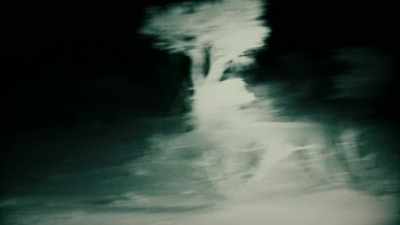 G.P.:
THERE'S AN ELEPHANT COMING IN. - Expedition Mungo