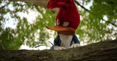 - Gah! What is that annoying sound? - Woody Woodpecker Goes to Camp