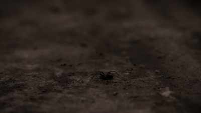 GAIL: And even terrifying
Poltergeist attacks. - Spooked Scotland