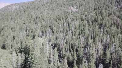 - [Gal] Kept hearing people
refer to Gary as a hiker. - Horror in the High Desert
