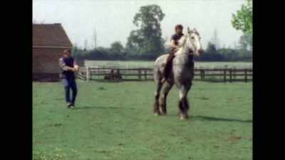 -(galloping)
-(indistinct chatter) - David Holmes: The Boy Who Lived